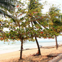 фото из отзыва ID 1341756