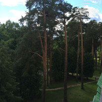 фото из отзыва ID 1341873