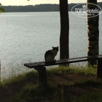 фото из отзыва ID 1341873