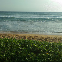 фото из отзыва ID 1341877