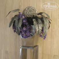 фото из отзыва ID 1341882