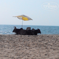 фото из отзыва ID 1341915