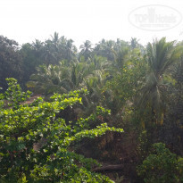 фото из отзыва ID 1341132