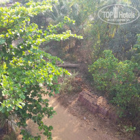 фото из отзыва ID 1341132