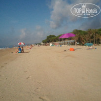 фото из отзыва ID 1342046