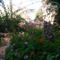 фото из отзыва ID 1342107