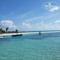 фото из отзыва ID 1342114