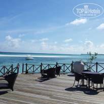 фото из отзыва ID 1342114