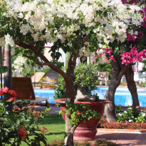 фото из отзыва ID 1342121