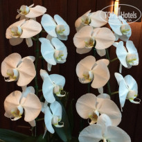 фото из отзыва ID 1342129