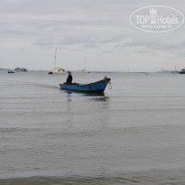 фото из отзыва ID 1342148