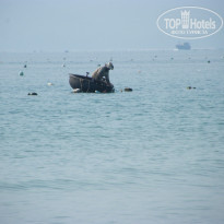 фото из отзыва ID 1342219