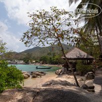 фото из отзыва ID 1342257