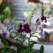 фото из отзыва ID 1342257