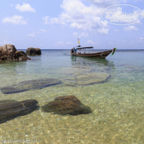 фото из отзыва ID 1342257