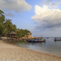 фото из отзыва ID 1342257