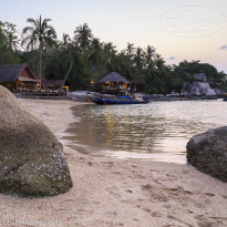 фото из отзыва ID 1342257