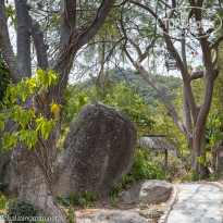 фото из отзыва ID 1342257