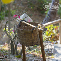 фото из отзыва ID 1342257