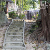 фото из отзыва ID 1342257