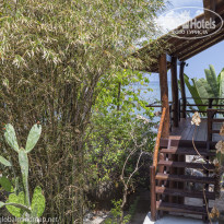 фото из отзыва ID 1342257