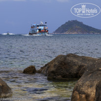 фото из отзыва ID 1342257