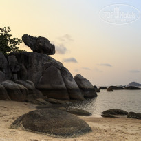 фото из отзыва ID 1342257