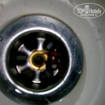 фото из отзыва ID 1342347