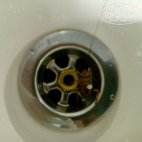 фото из отзыва ID 1342347