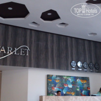 фото из отзыва ID 1342364