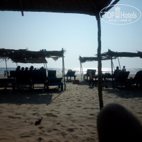 фото из отзыва ID 1342369