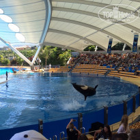 фото из отзыва ID 1342437