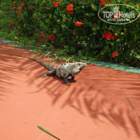 фото из отзыва ID 1342518