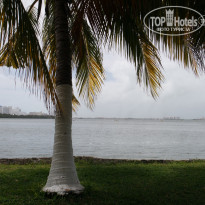 фото из отзыва ID 1342518