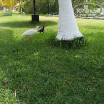 фото из отзыва ID 1342518