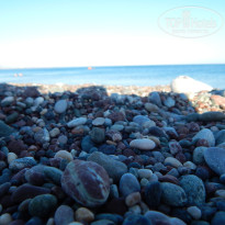 фото из отзыва ID 1342541