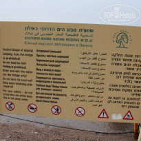 фото из отзыва ID 1342743