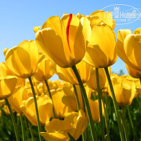фото из отзыва ID 1342793