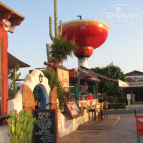 фото из отзыва ID 1342819