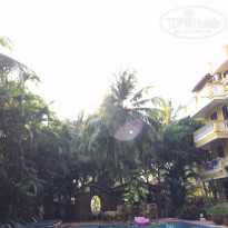 фото из отзыва ID 1342833