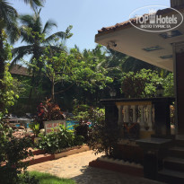 фото из отзыва ID 1342833