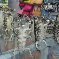 фото из отзыва ID 1342935