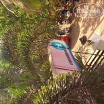 фото из отзыва ID 1342942