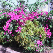 фото из отзыва ID 1342949