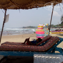 фото из отзыва ID 1342954