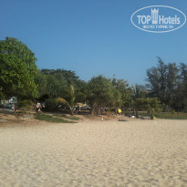 фото из отзыва ID 1342981