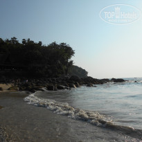 фото из отзыва ID 1342981