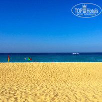 фото из отзыва ID 1342936