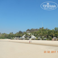 фото из отзыва ID 1343064