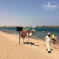 фото из отзыва ID 1343114